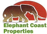 We are the leading Estate Agent in Northern Zululand, to assist you to find the house or game Farm or farm of your dreams. Contact Elephant Coast Properties now