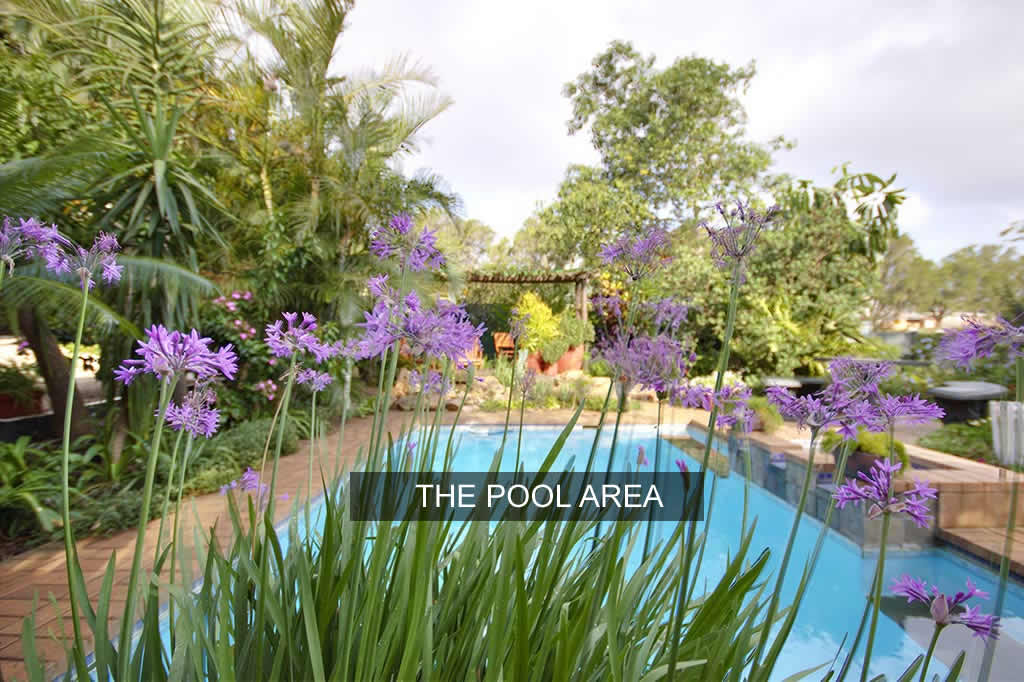 pool_garden
