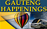 Information about accommodation, business and entertainment in Gauteng