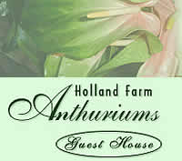 Holland Farm Guest House Ballito Accommodation KZN
