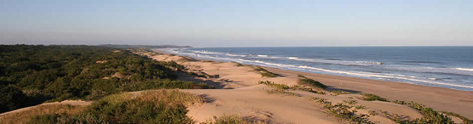 Mtunzini Beach