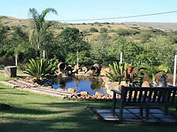 Mari's Cottage set in a large secure property in Melmoth