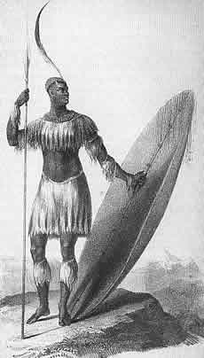 Shaka King of thr Zulus,, drawn by James King in 1825. The spear should be a short stabbing spear and the plume and shield are too long