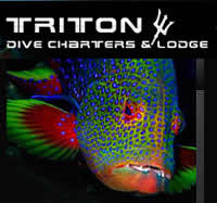 Triton Dive Charters and Lodge 